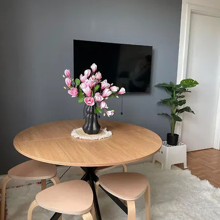 Appartement Center 2 Design *
